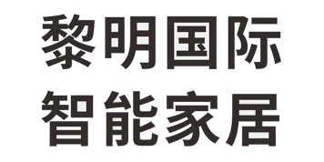 黎明国际